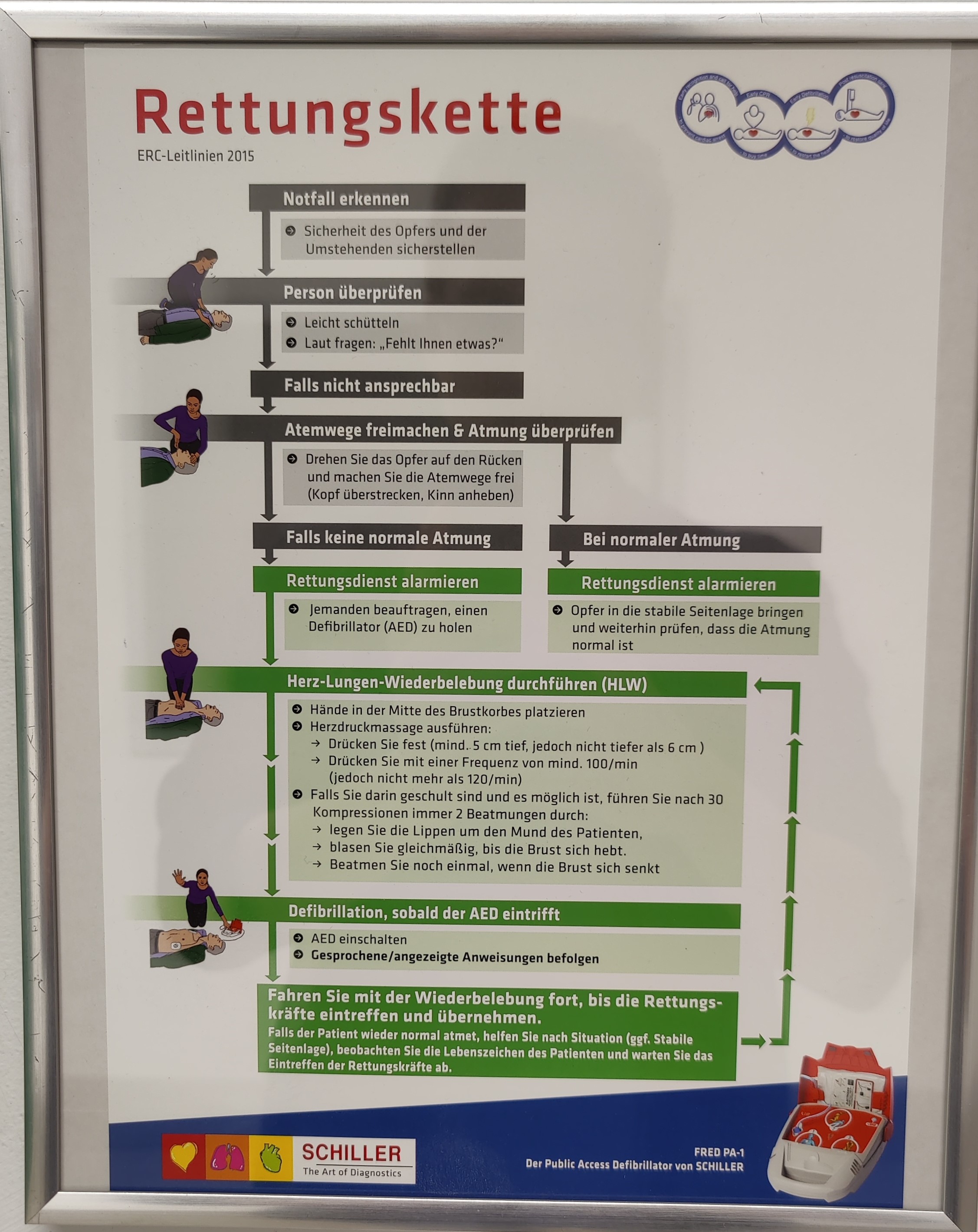 Rettungskette für den Einsatz eines Defibrillators Rettungskette für den Einsatz eines Defibrillators